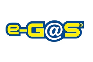 E-Gas E-Gas
